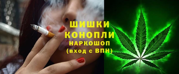 дживик Пересвет