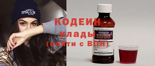 дживик Пересвет