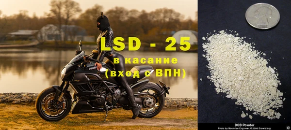 амф Алзамай
